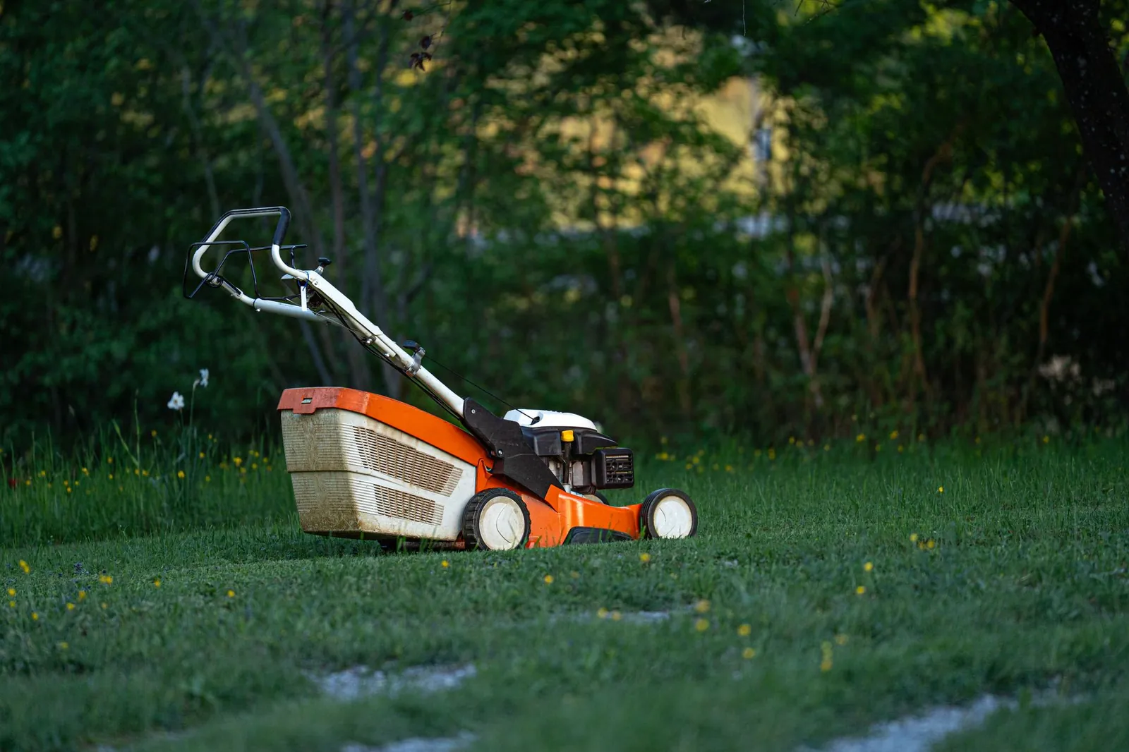 Underside of a robot mower showing replaceable cutting disc blades on a narrow 8-inch deck