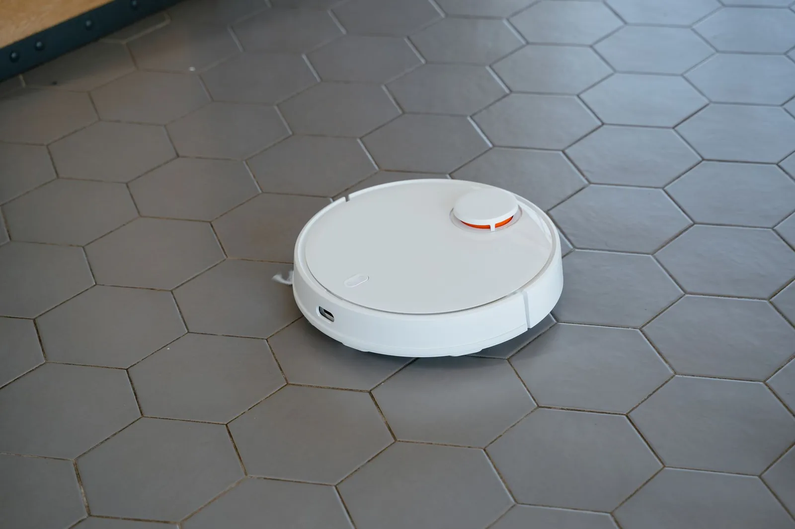Rubber roller brush on a robot vacuum lifting embedded pet hair from medium-pile carpet