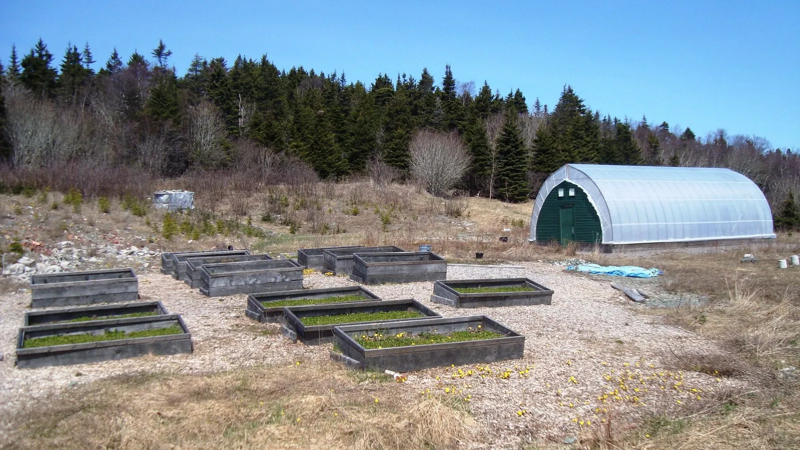 Raised garden bed filled with layered topsoil and compost, slightly mounded above the frame edge before settling