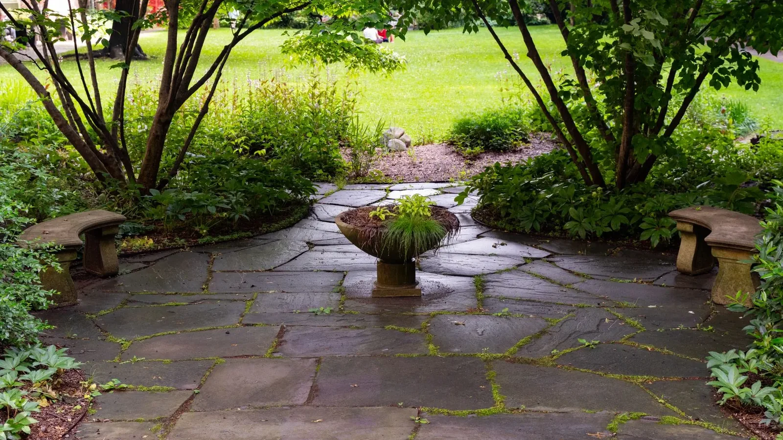 Four patio paver samples side by side—concrete, flagstone, porcelain, and clay brick—showing surface texture and color differences