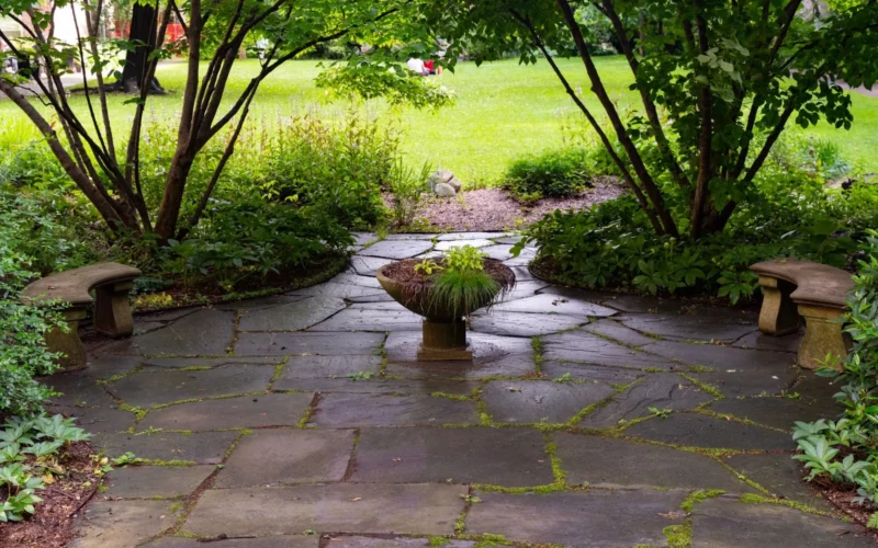 Four patio paver samples side by side—concrete, flagstone, porcelain, and clay brick—showing surface texture and color differences