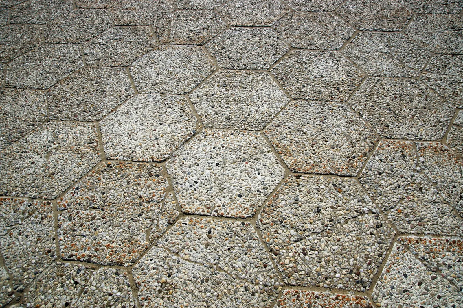 Four patio paver samples side by side—concrete, flagstone, porcelain, and clay brick—showing surface texture and color differences